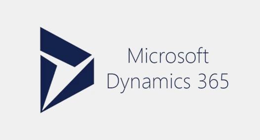 Microsoft Dynamics grey webp